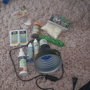 Hermit Crab Supplies